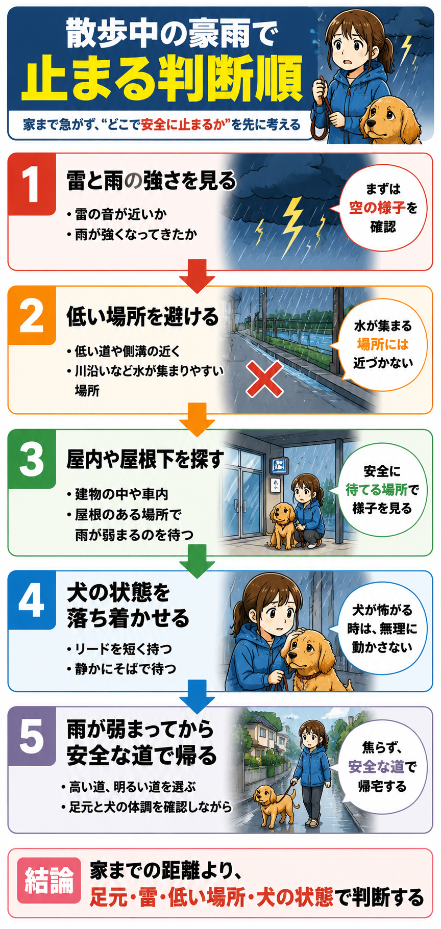 犬の散歩中のゲリラ豪雨で止まる判断順を示す図解